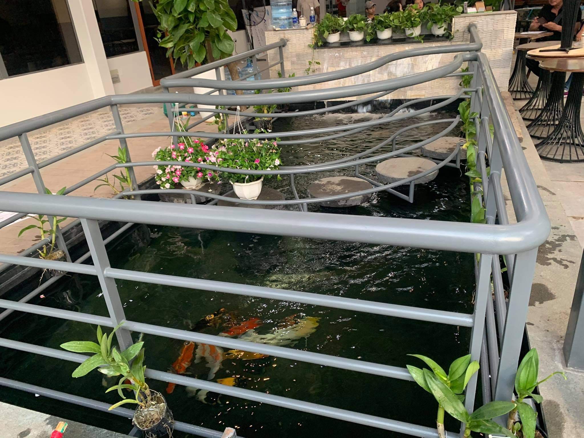 Hồ cá koi của chị Hương Quận 8